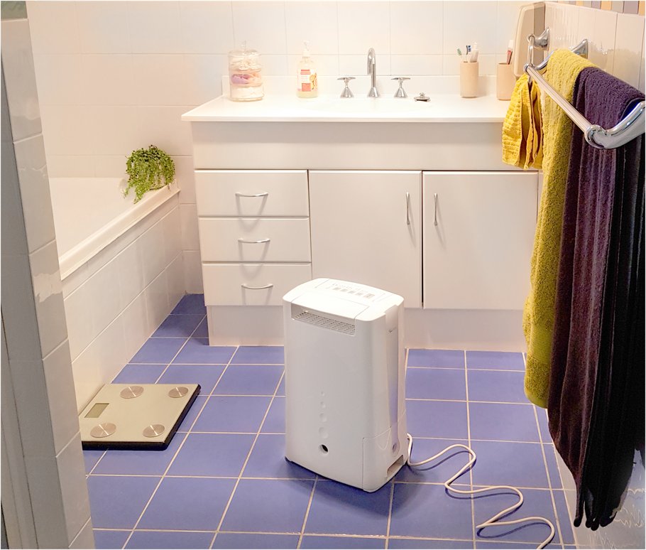 Bathroom Dehumidifier: Banish Disgusting Mold And Musty Odors